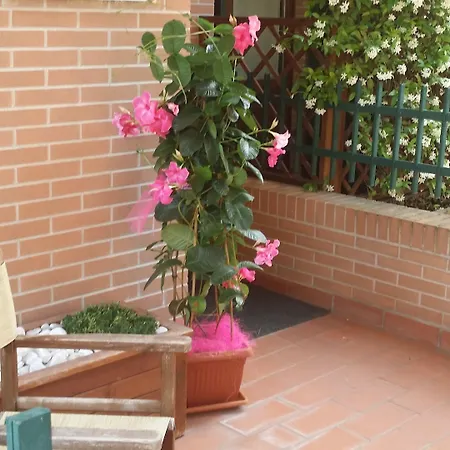 Arianna Aparthotel 4*
